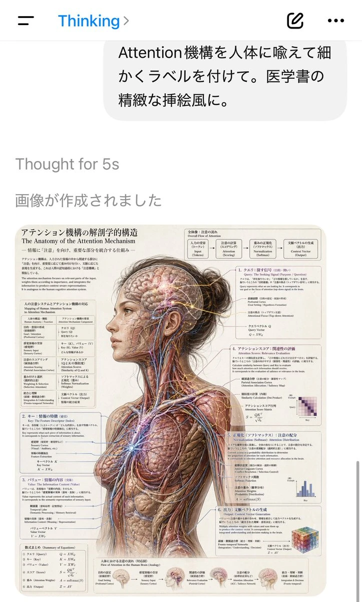 医学书风Attention机制人体解剖图