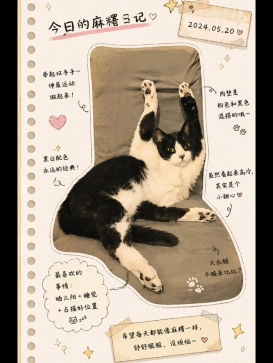 猫咪日系手账插画